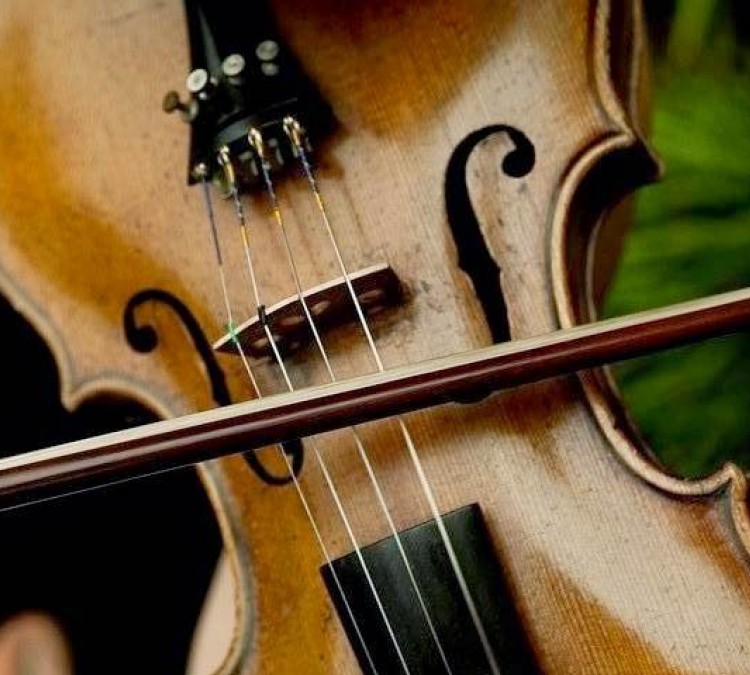 violin-and-viola-lessons-charleston-sc-photo